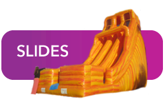 SLIDES SLIDES